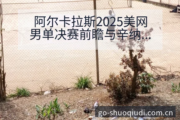 阿尔卡拉斯2025美网男单决赛前瞻与辛纳三番战历史数据项 - 说球帝APP
