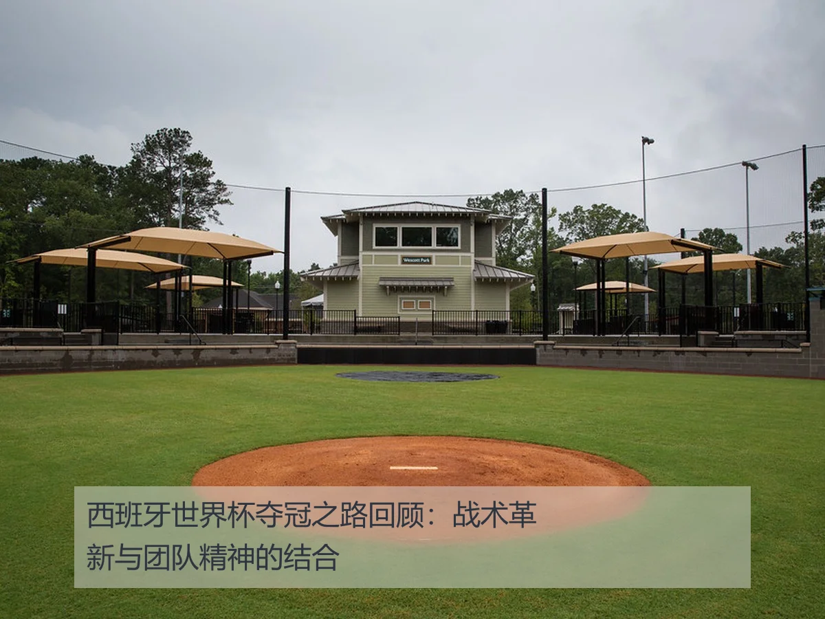 西班牙世界杯夺冠之路回顾:战术革新与团队精神的结合